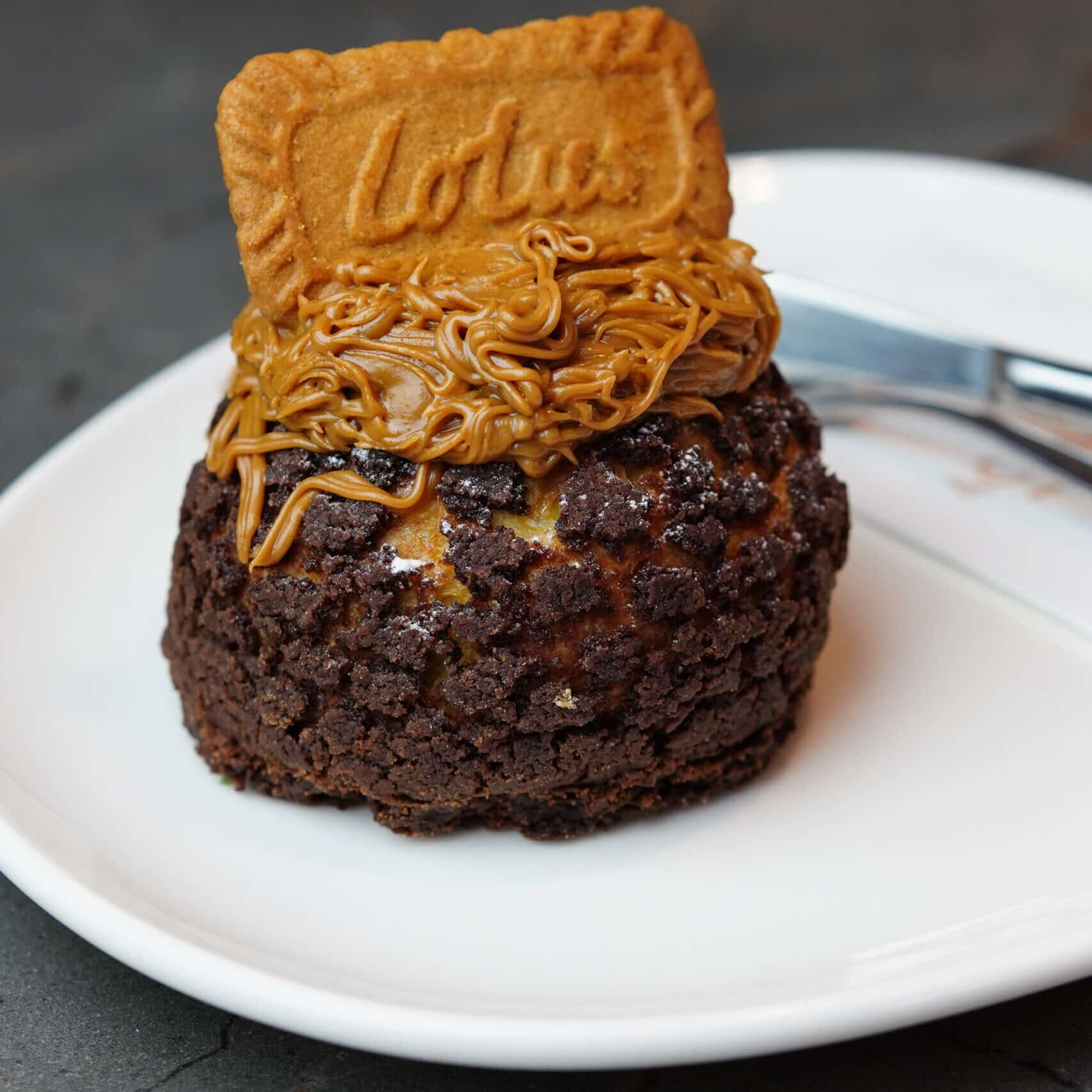 DSC01497-scaled-e1769110193150